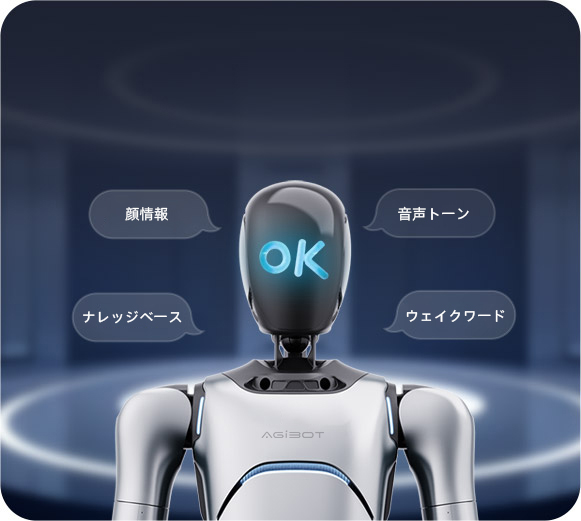 カスタムインストラクション